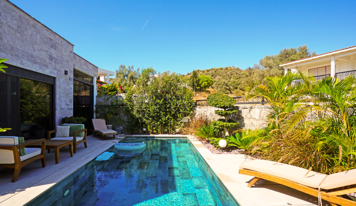 GUMUSLUK UGUR'UN EV-10